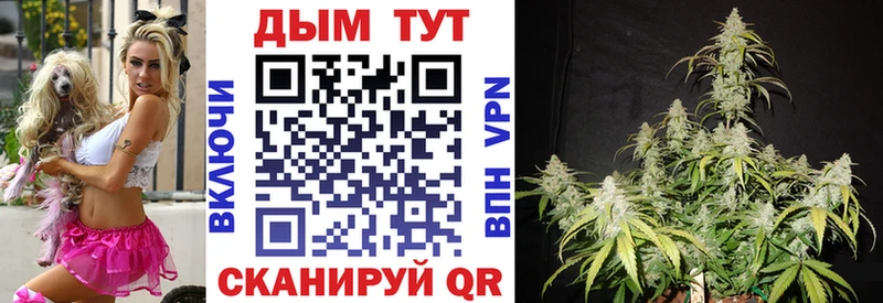 Бошки Шишки Amnesia  закладки  shop как зайти  Карпинск 